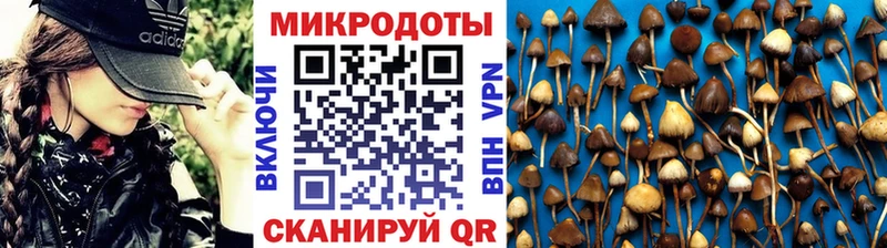 Галлюциногенные грибы ЛСД  Бикин 